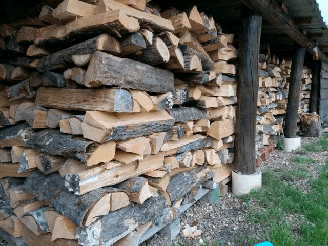 Vente des bois de chauffage - Photo 1