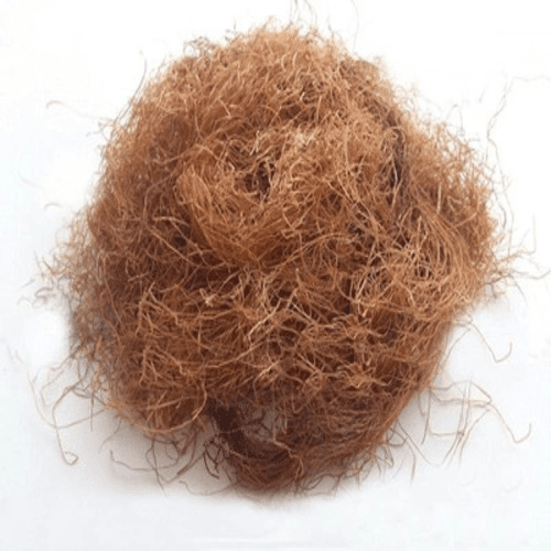 Vente de “Stigmates de maïs” en vrac du fabricant au meilleur
prix - Photo 1