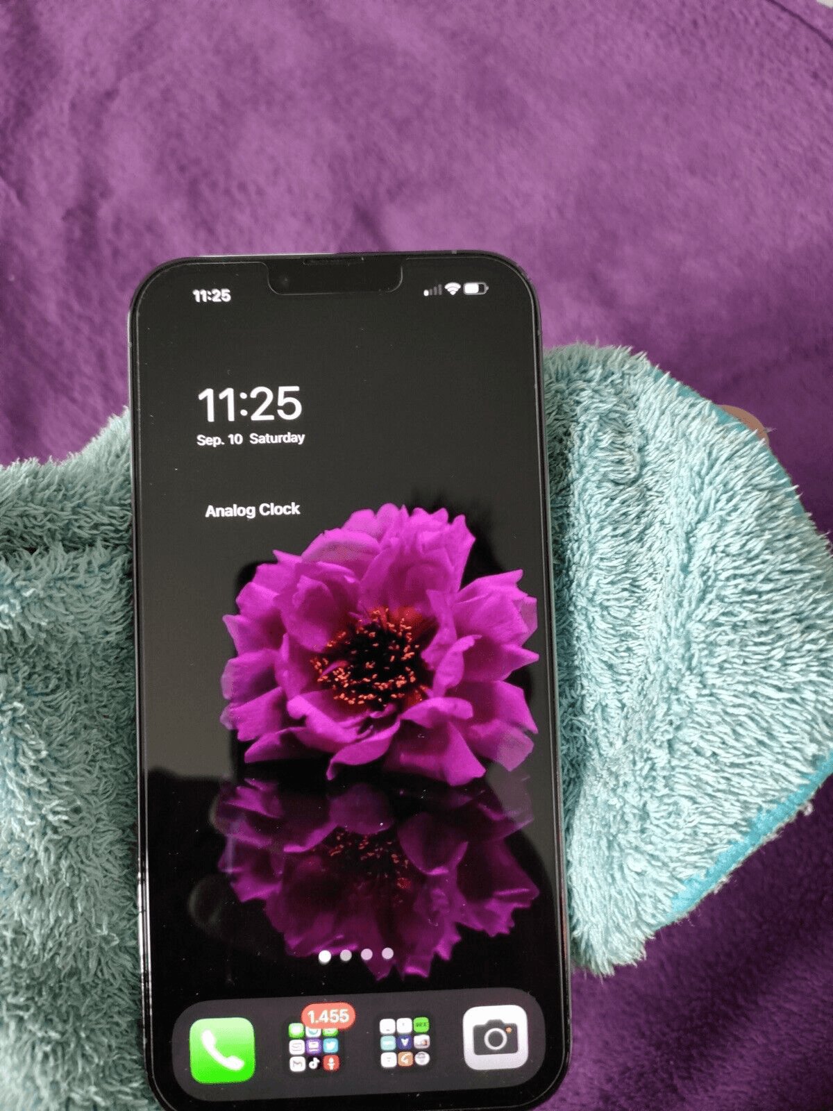 Apple iPhone 13 Pro Max - 256 Go - Bleu Sierra (Débloqué) - Photo 1