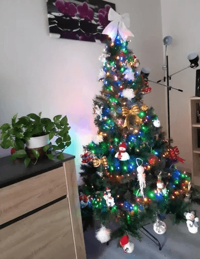 Sapin de Noël - Photo 1