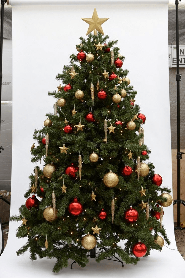 SAPIN DE NOËL A VENDRE ET A LIVRÉ A DOMICILE - Photo 1