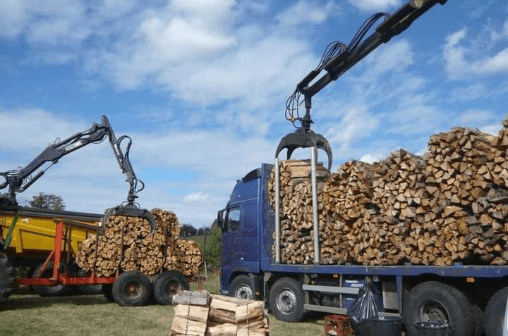 Bois de chauffage sec prêt à brûler - Photo 1