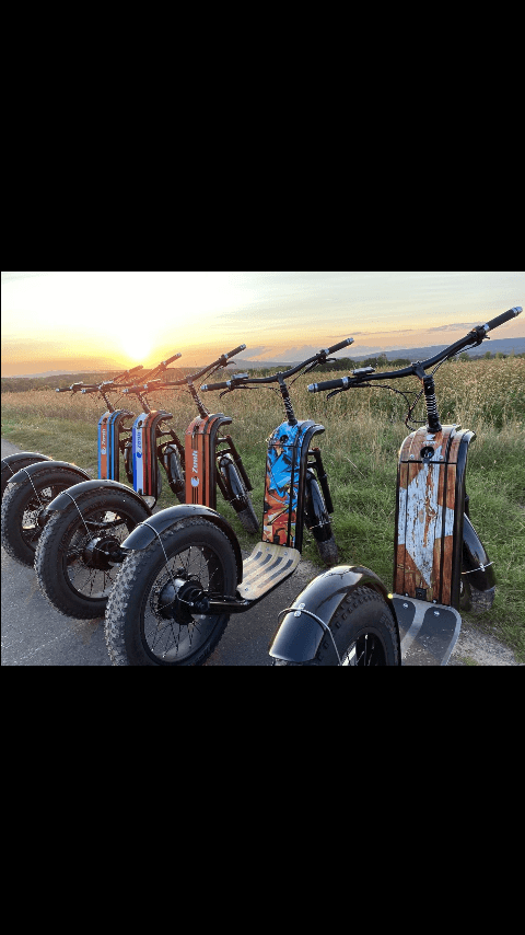 Trotinette électronique