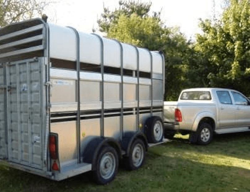 Van Ifor William 2 - 3 Chevaux