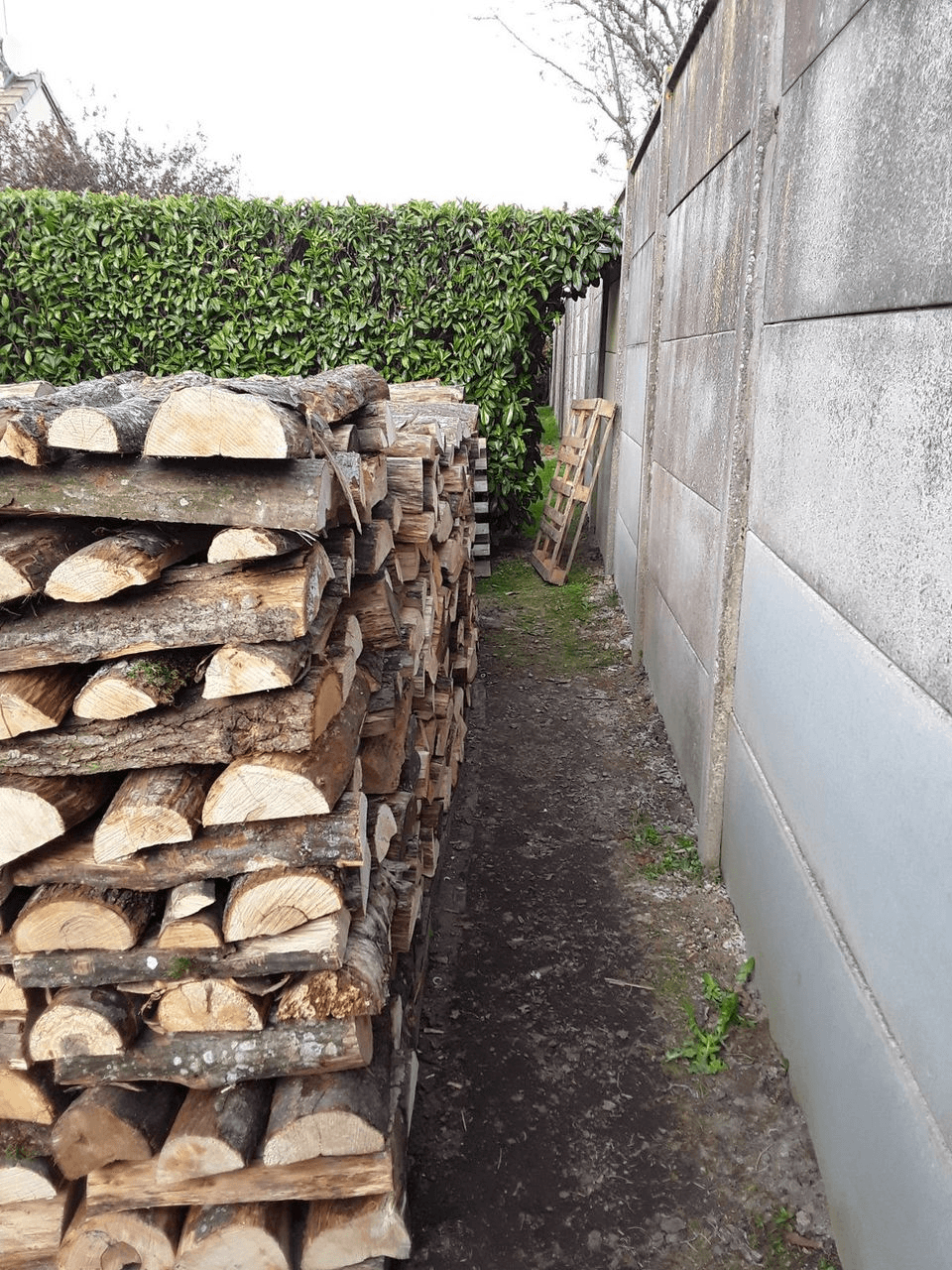 Stères de bois disponible - Photo 1