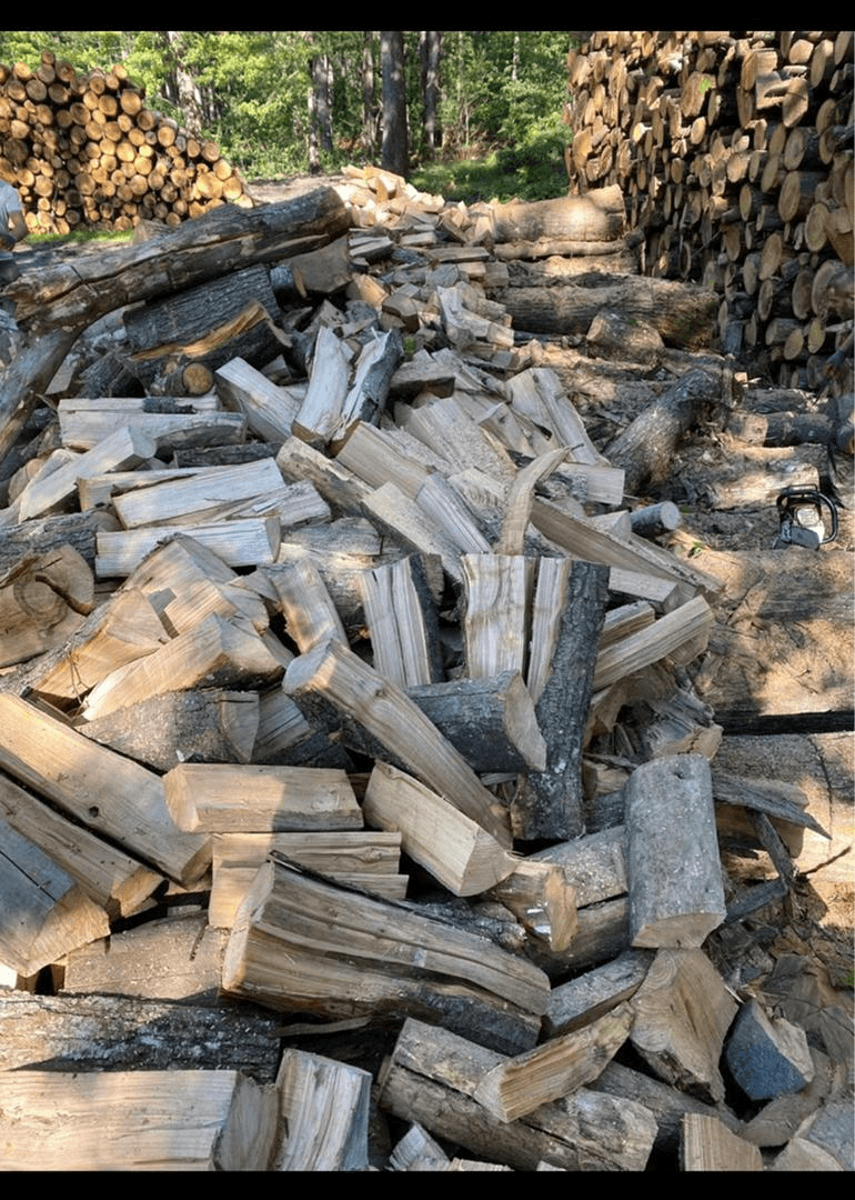 Bois de chauffage - Photo 1
