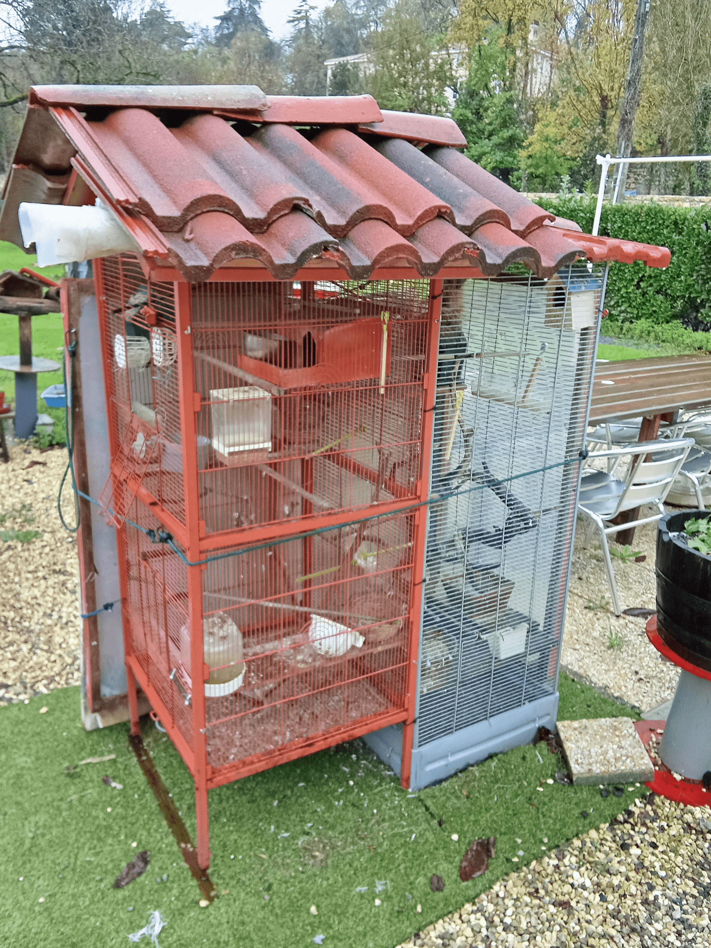 Cages à oiseaux - Photo 1