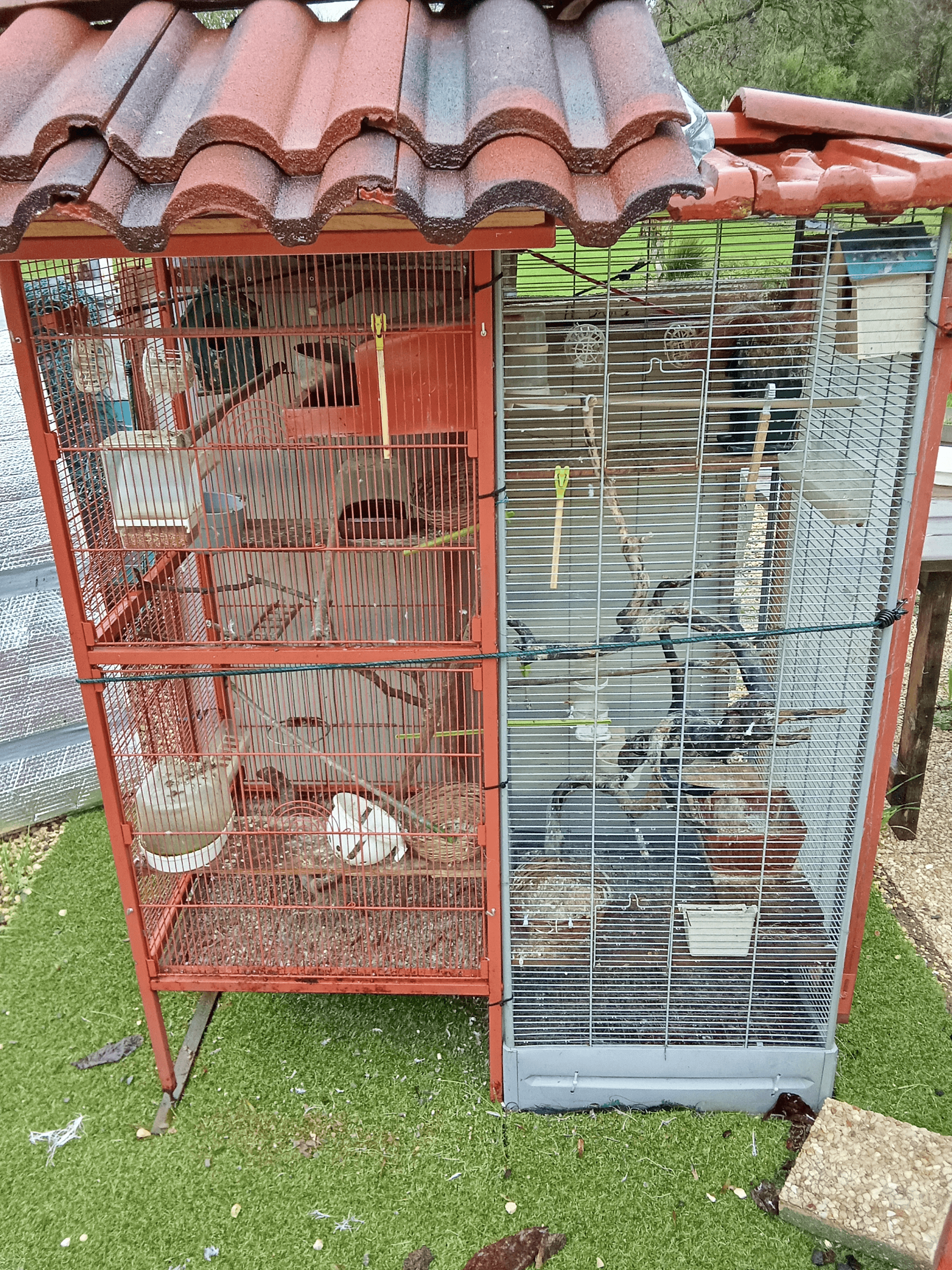 Cages à oiseaux