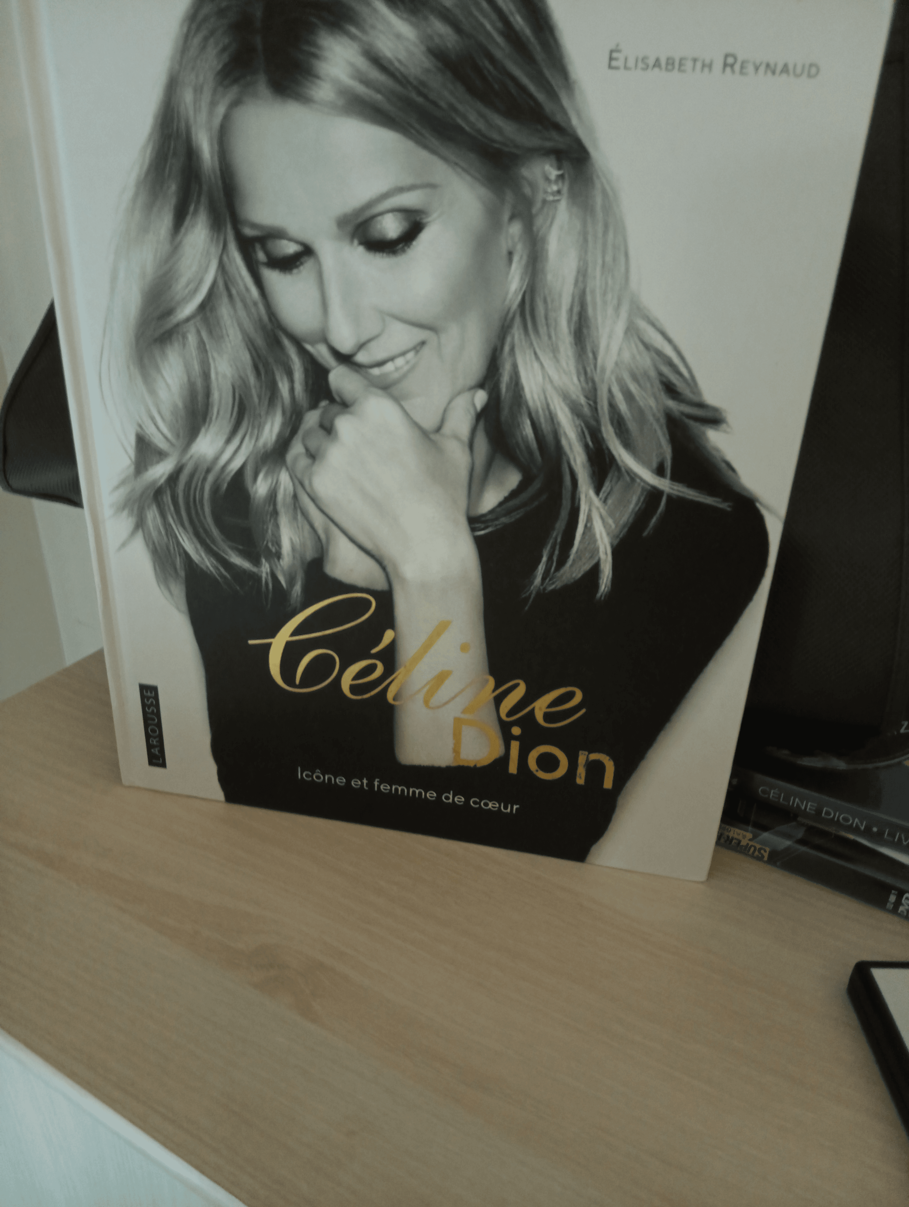 Livre Céline Dion - Photo 1
