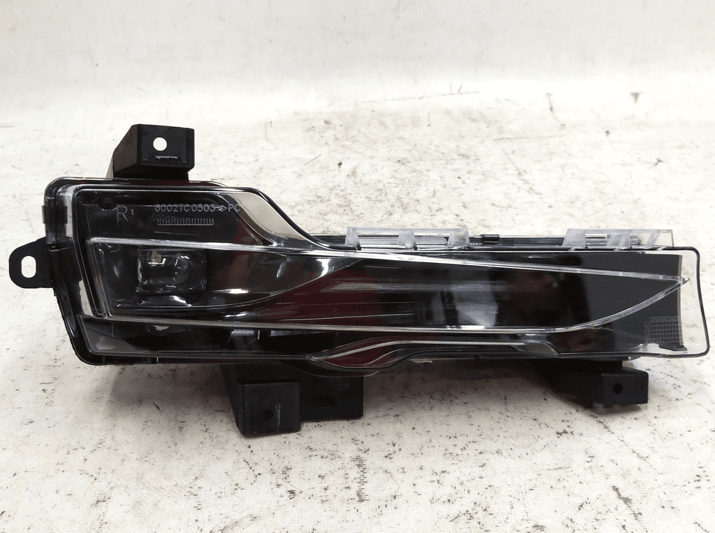 Feu antibrouillard droit (complet) ECE UP-LEVEL NEW Tesla 3
1077396-00-D AE-Uc - Photo 1