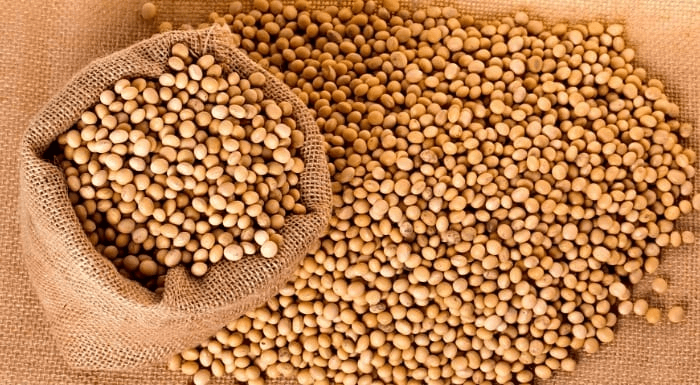 Vente de produits agricole (soja) - Photo 1