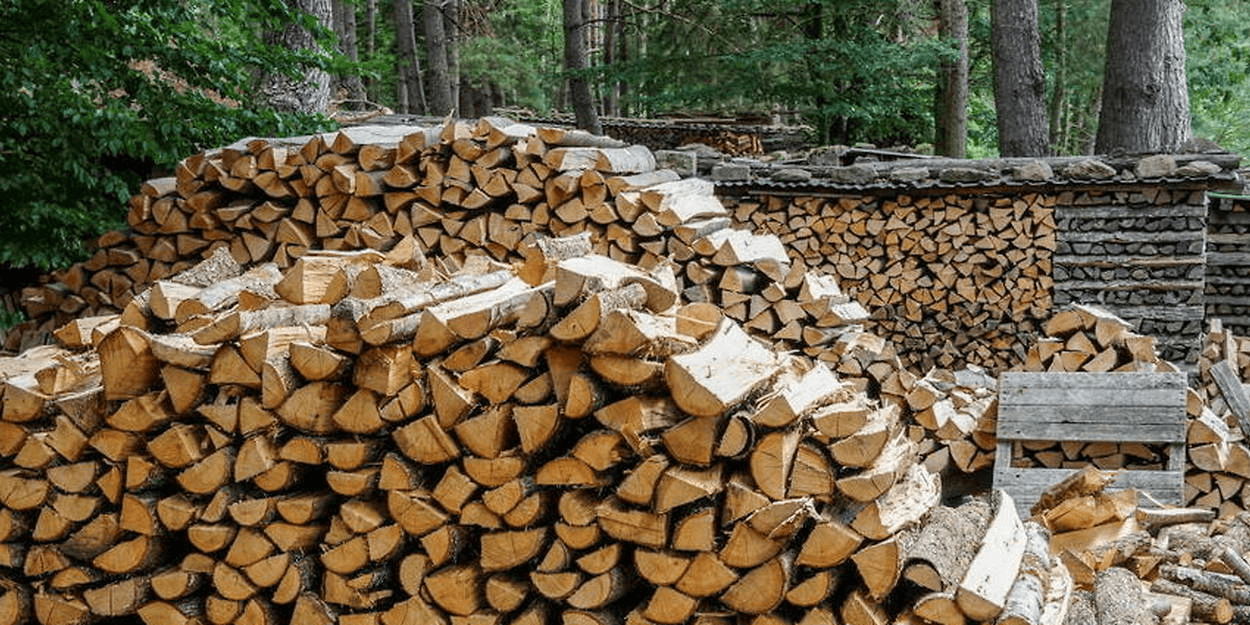 Bois de chauffage en stère - Photo 1