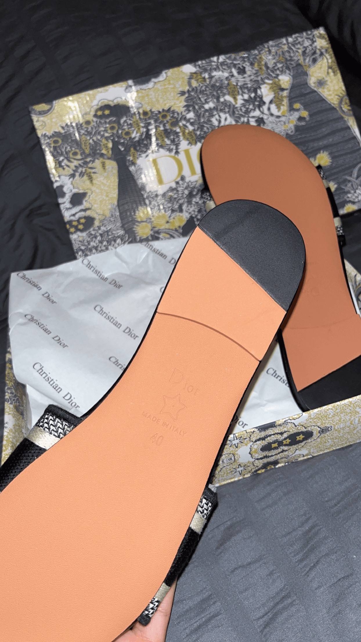 Dior mule Dway