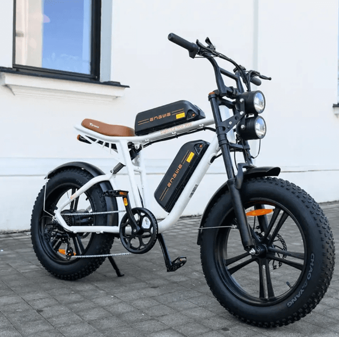 E Bike VTT 750W vélo électrique 20 pouces eBike Fatbike 26AH Pedelec
vtt