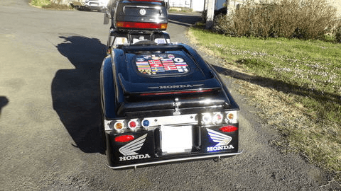 Remorque GOLDWING - Photo 1