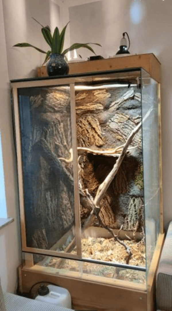 terrarium - Photo 1