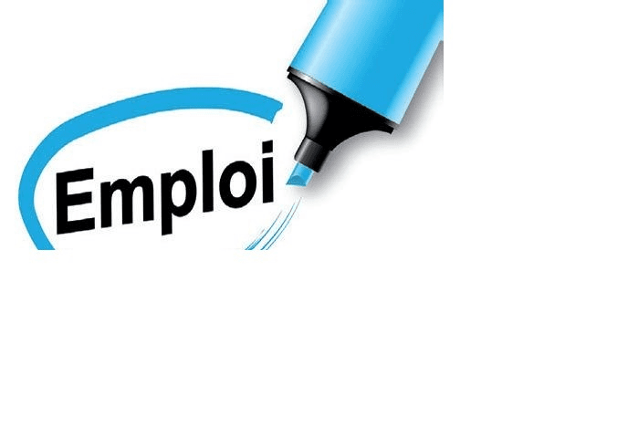 RECRUTEMENT POUR UN TRAVAIL A DOMICILE SALAIRE 300€ PAR SEMAINE - Photo 1