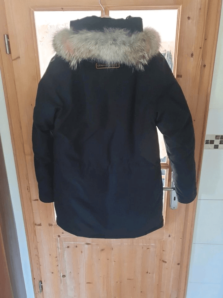 Canada Goose L - Photo 1