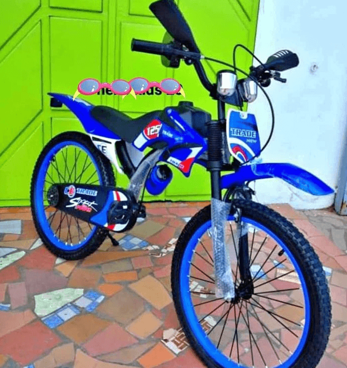 Vélo électrique - Photo 1