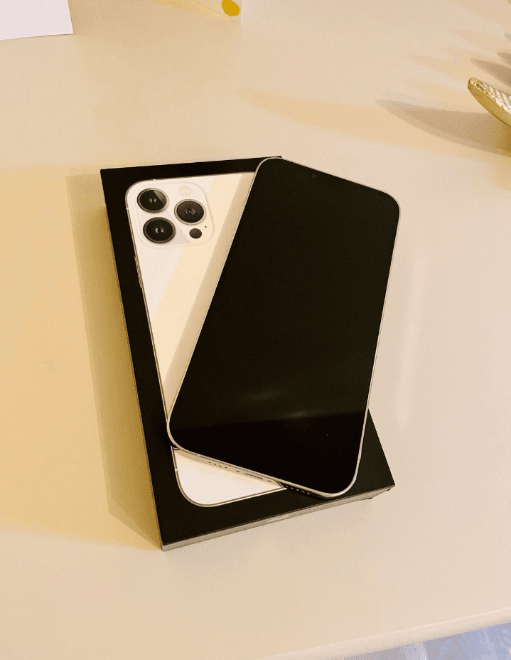 iPhone 13 pro max silver - Photo 1