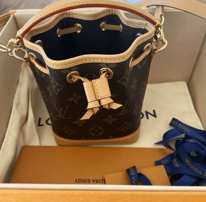 Sac Louis Vuitton - Photo 1