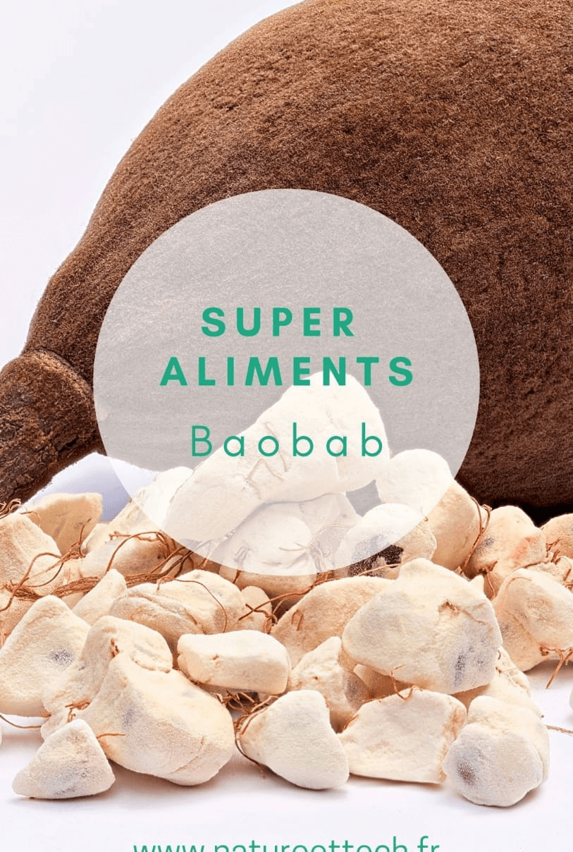 Fruits de baobab - Photo 1