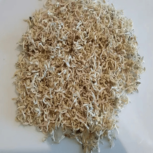 Vente de “Lamier blanc” en vrac du fabricant au meilleur prix - Photo 1