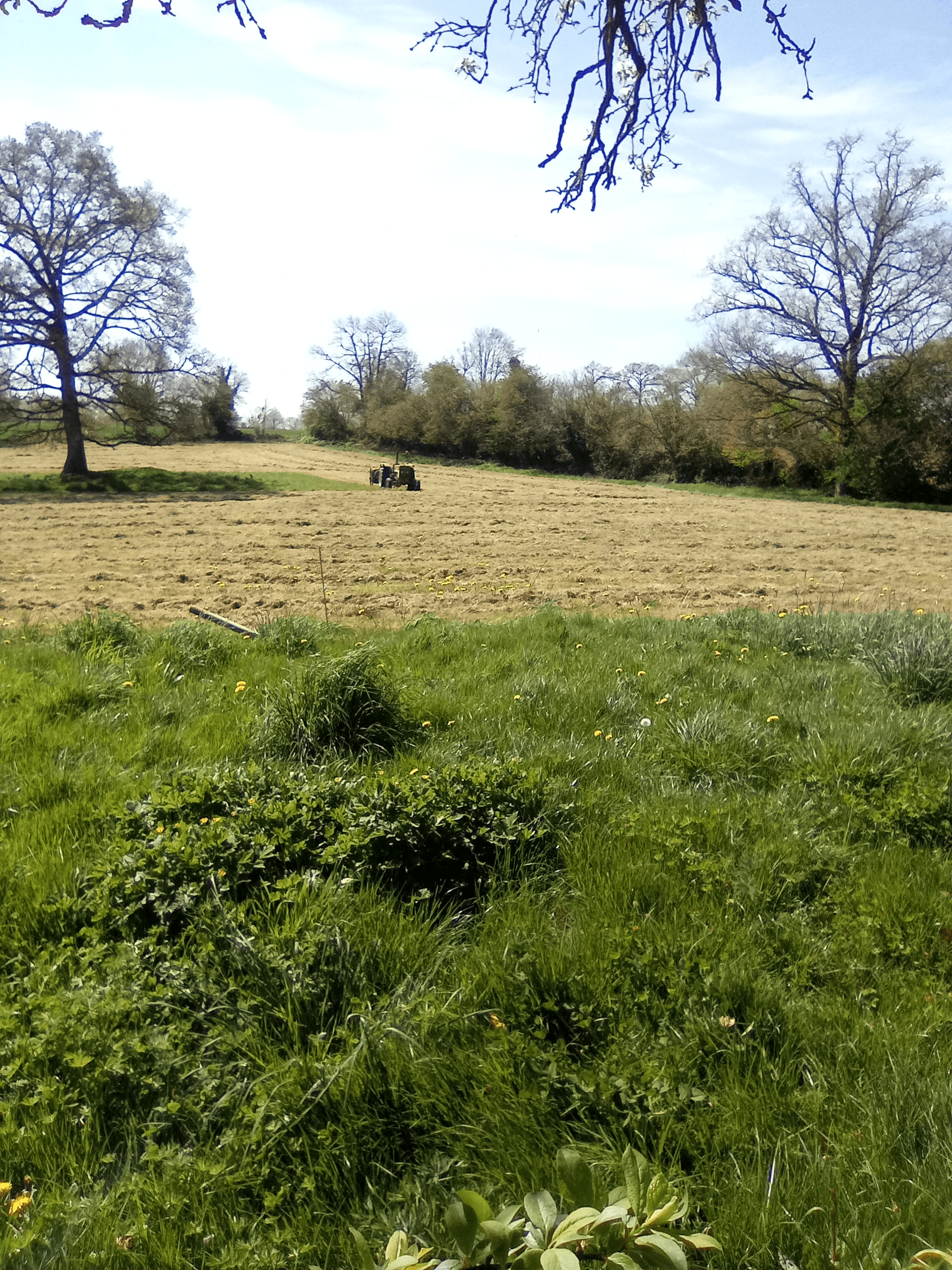 Enrubannage 5 boules