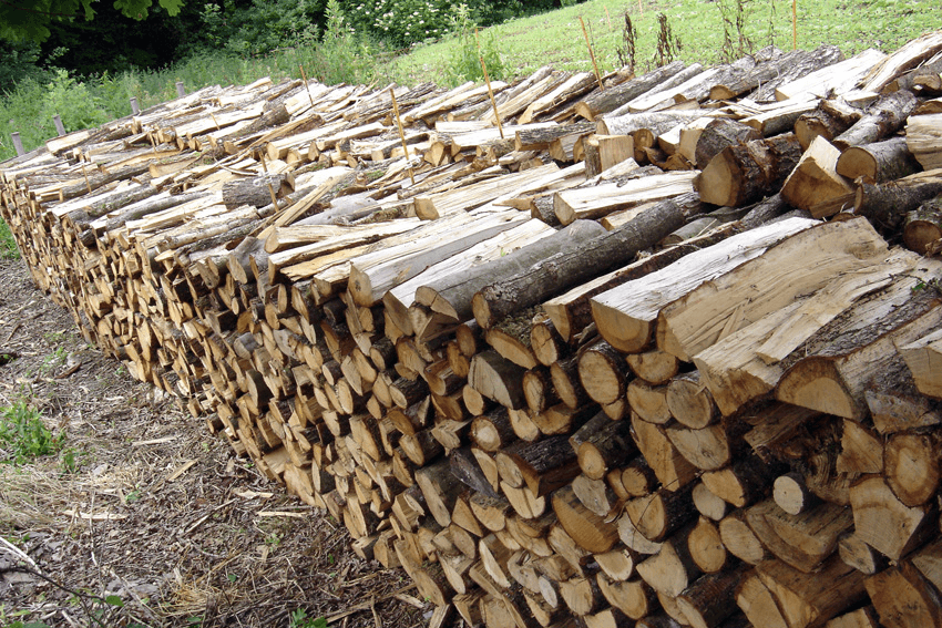 Bois de chauffage de qualité supérieure - Photo 1