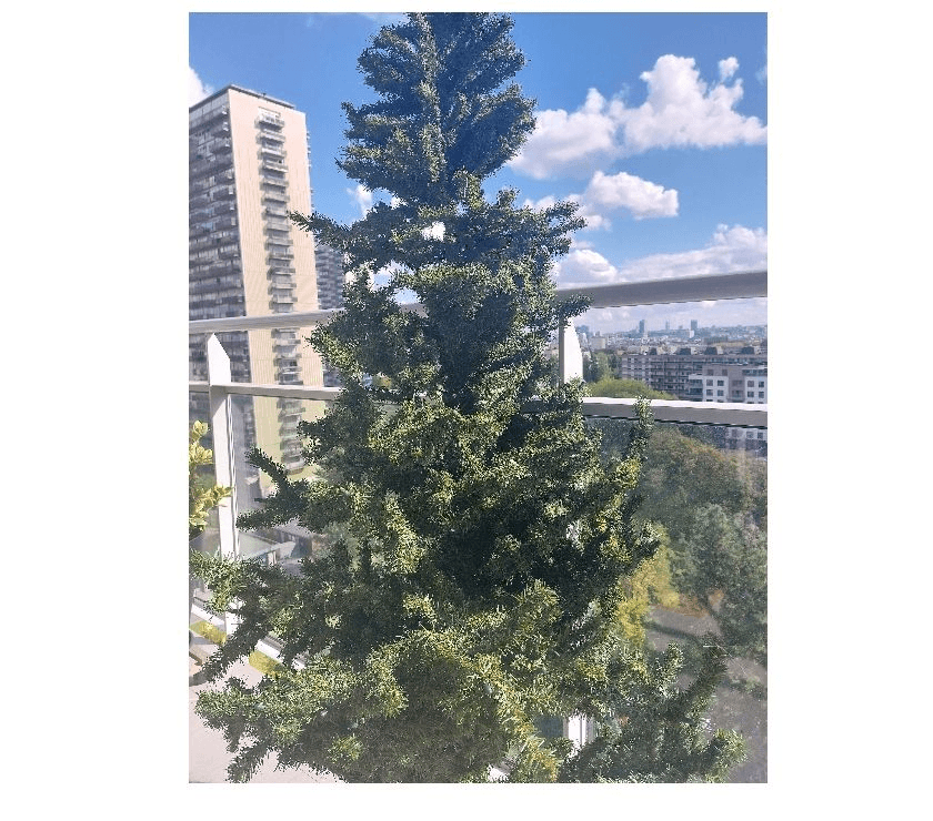 Sapin de Noël - Photo 1