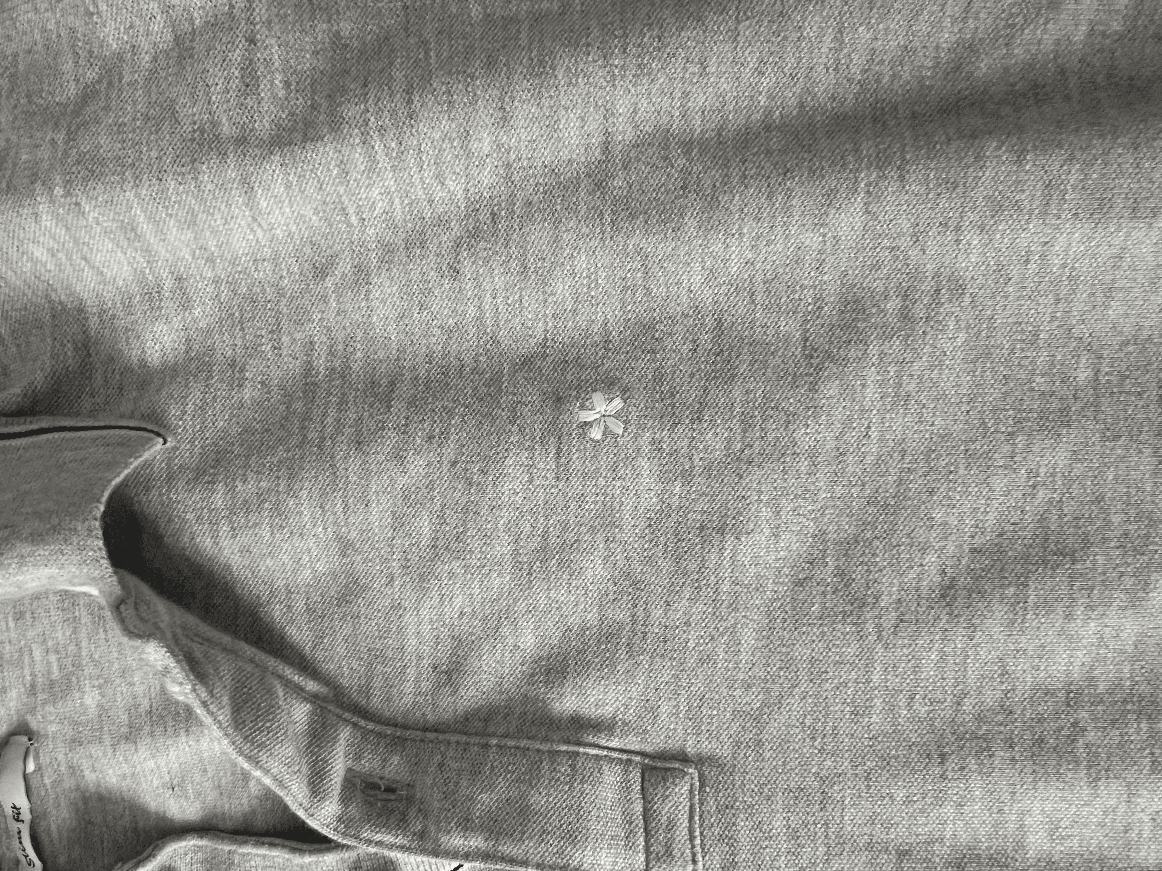 Pull fit homme marque celio - Photo 1
