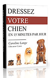 Dresser votre chien en moins de 2 Semaines !!! - Photo 1