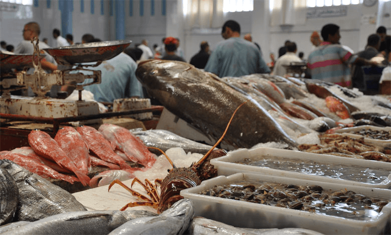 Export poissons - Photo 1