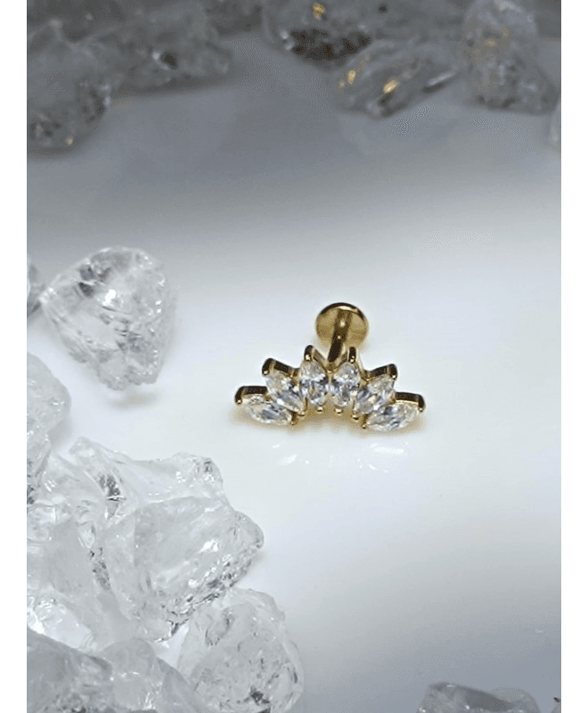 Piercing Helix bijoux oreille tragus conch lob multi strass blanc couleur doré six orelha oor ear - Photo 1