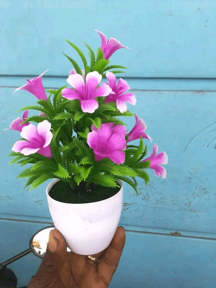 Fleurs qualité - Photo 1