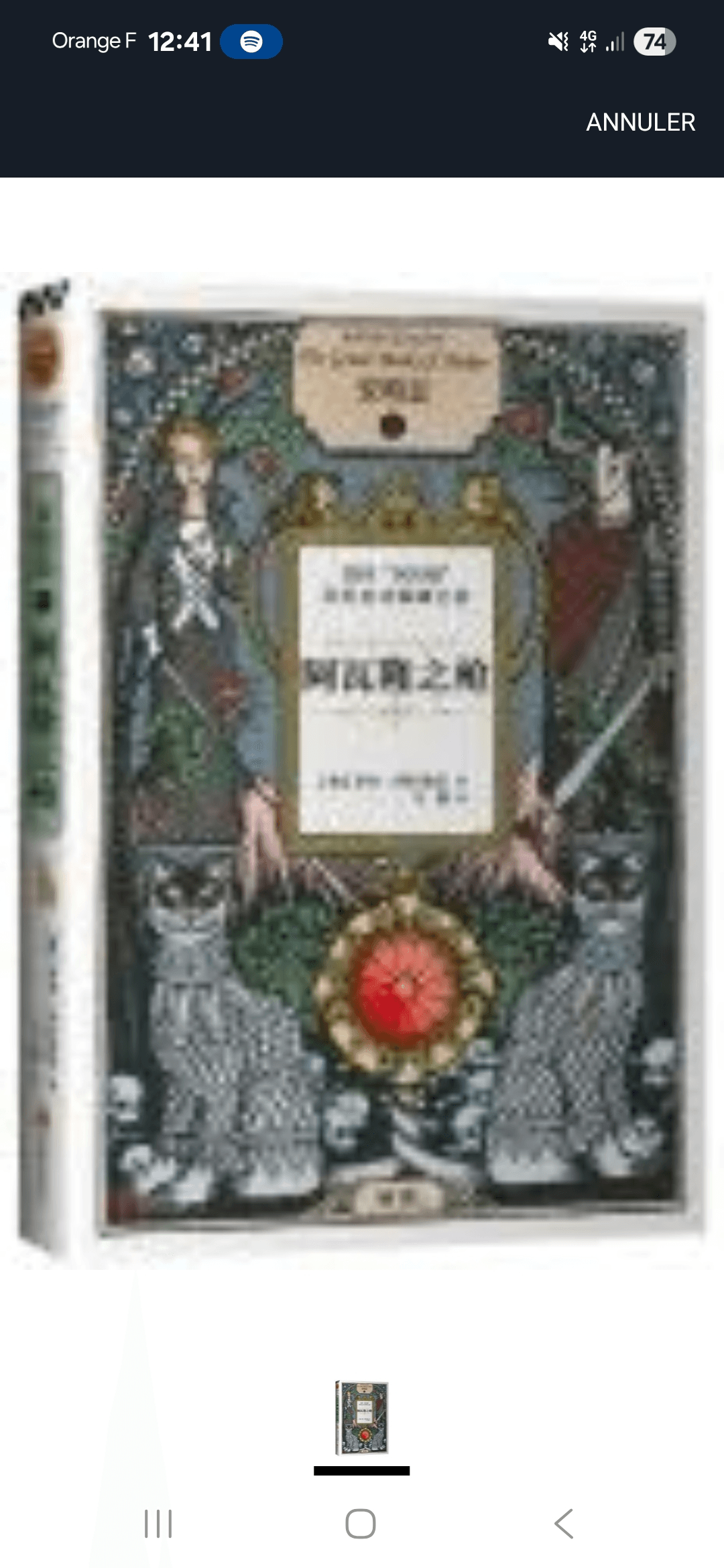 Livre chinois rare en vente