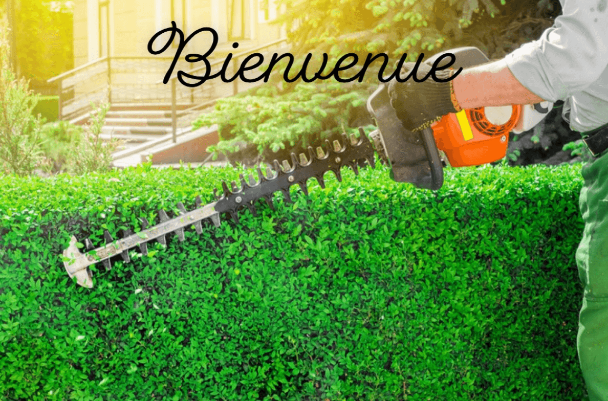 Teddy espace vert - Photo 1