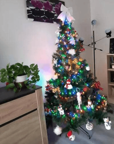 Sapin de Noël - Photo 1