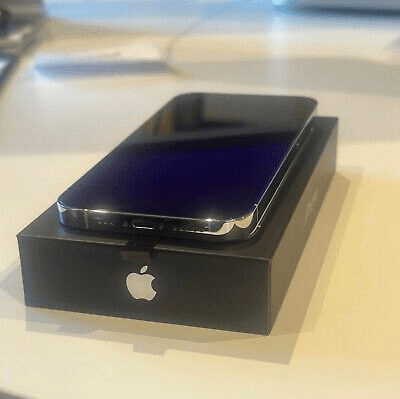Apple iPhone 13 Pro 1To argent (État Comme neuf) - Photo 1