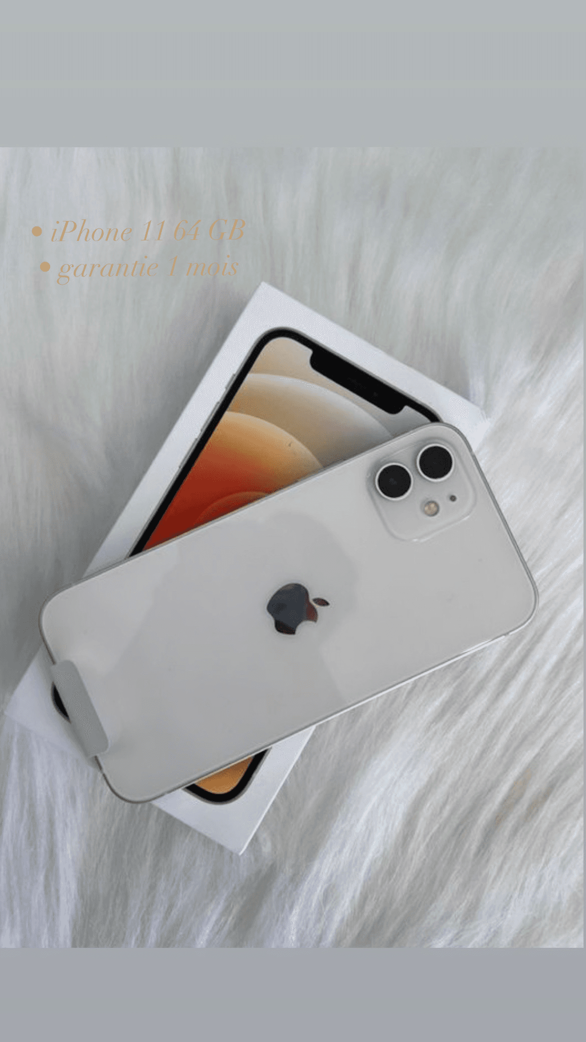 iPhone 11 64 Go reconditionné en excellent état