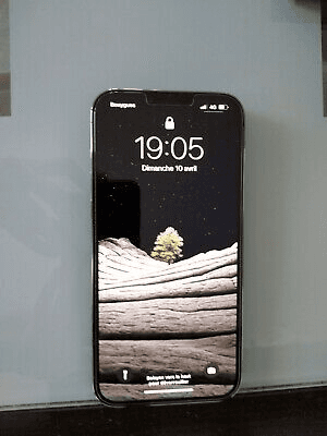 Apple iPhone 13 Pro Max - 256 Go - Bleu Alpin (Déverrouillé) +AirPods Pro1 - Photo 1