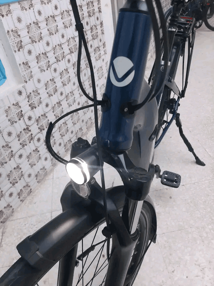 Trekking Électrique AEB 200 - Photo 1