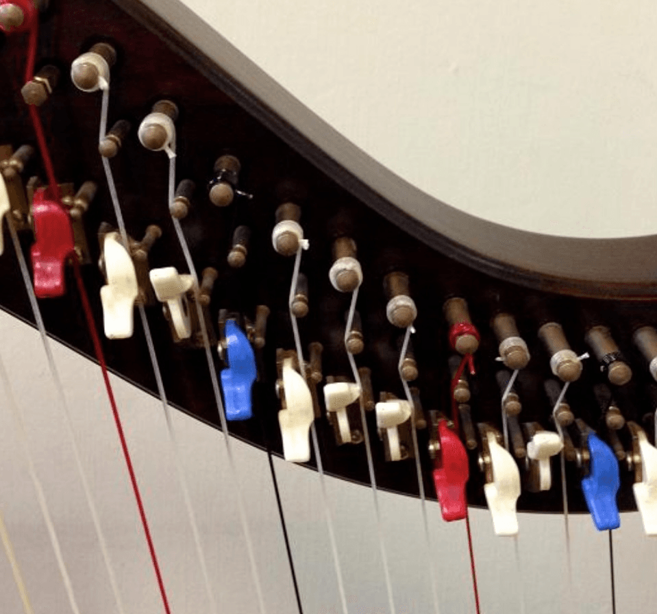 Cours de harpe pour tous les niveaux - Photo 1