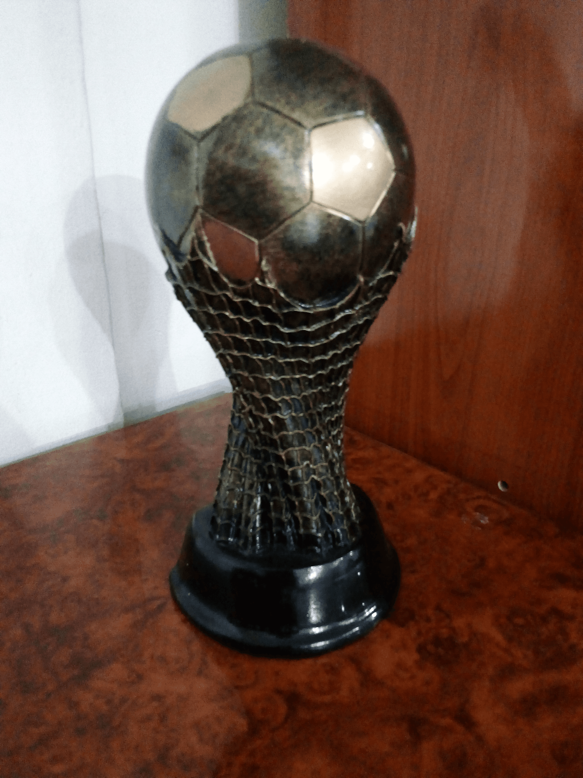 Ballon d'or - Photo 1