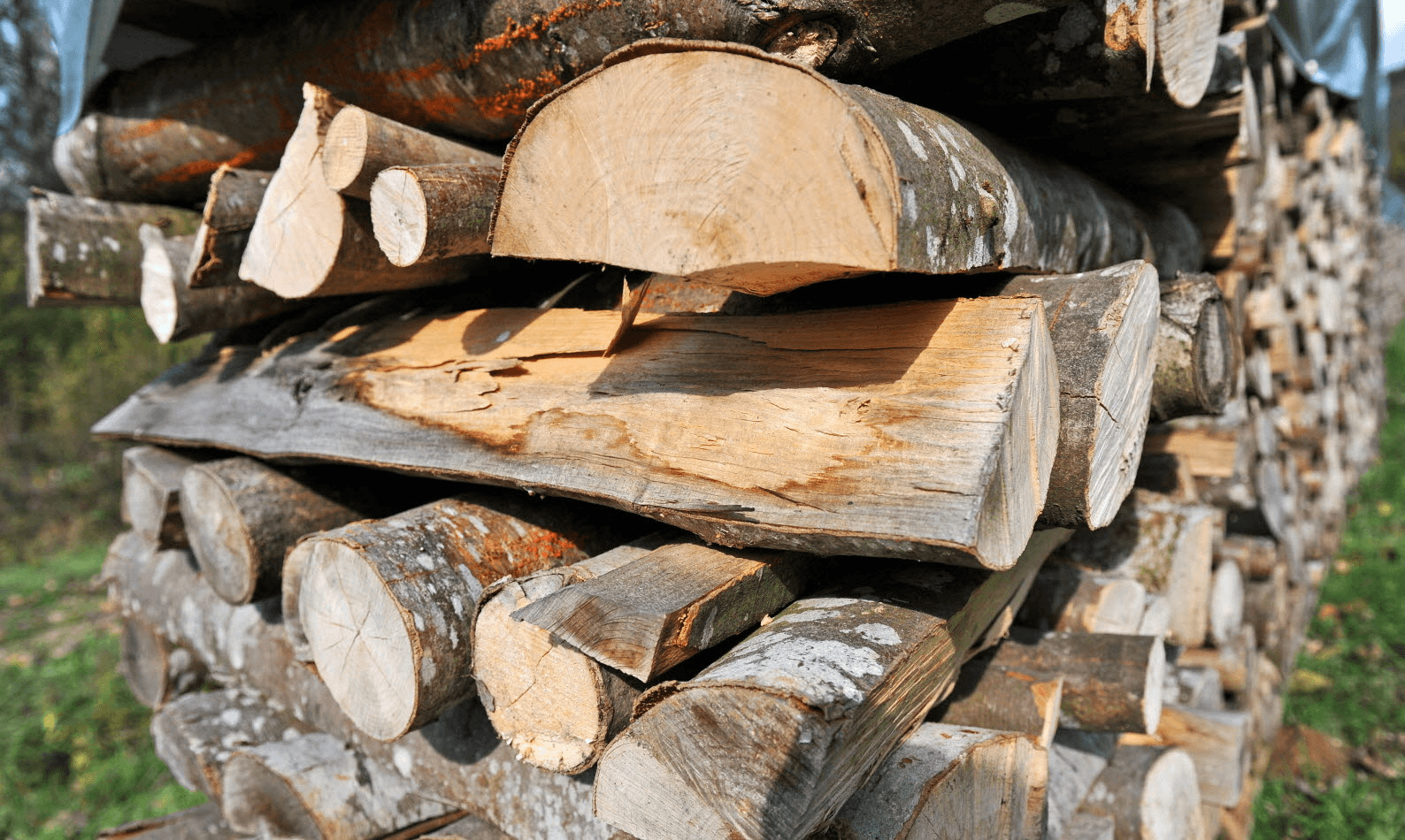 BOIS DE CHAUFFAGE SEC - Photo 1